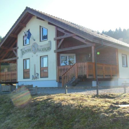Chalet Du Bucheron Apartment Gérardmer Екстериор снимка